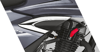 Planet Honda - Shine BS6 Premium_chrome_stroke_onsidecover