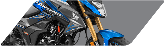 Planet honda - Golden_Upside_Down_Front_fork